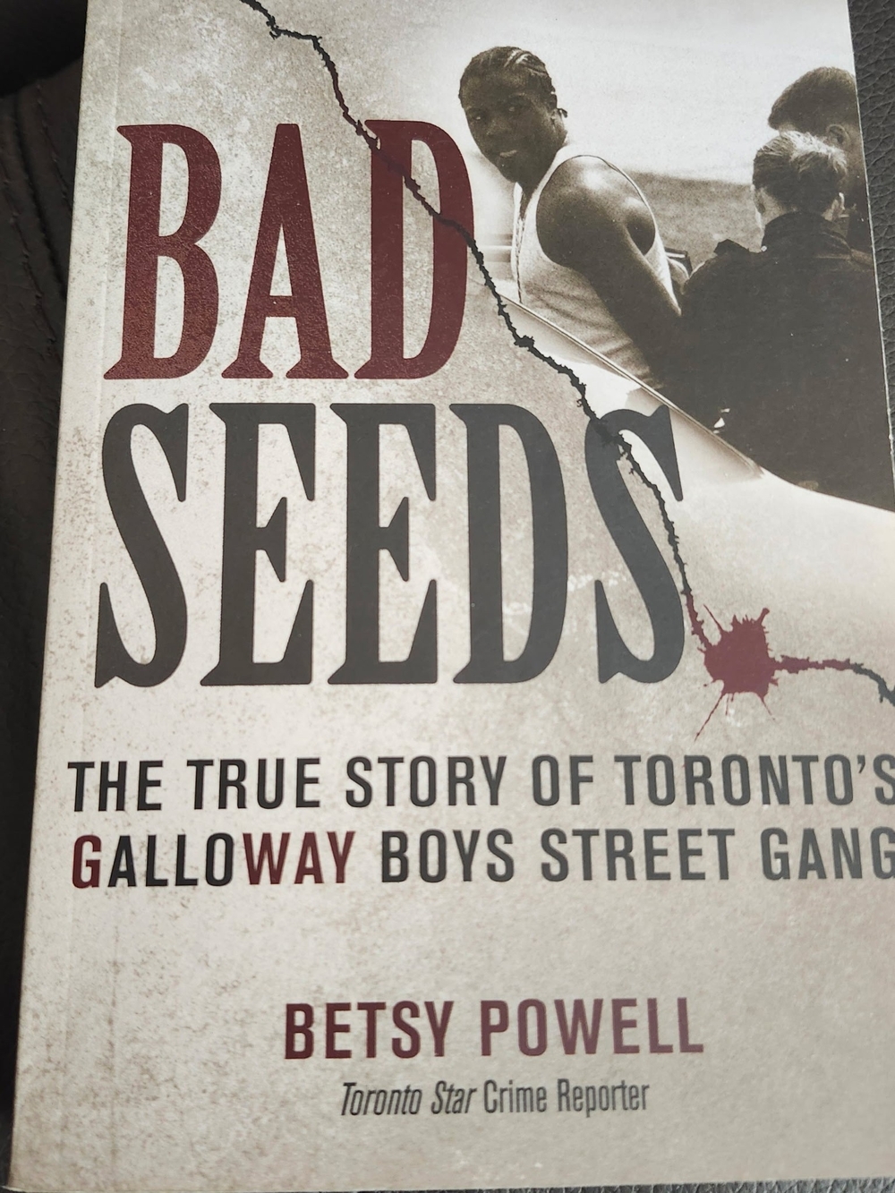 Bad Seeds The True Story Of Toronto's Gallowy Boy Street Gang by Betsy Powell